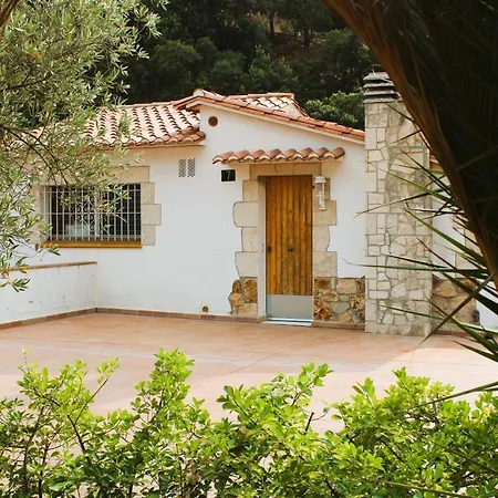 Private Apartments Cala Canyelles-3
