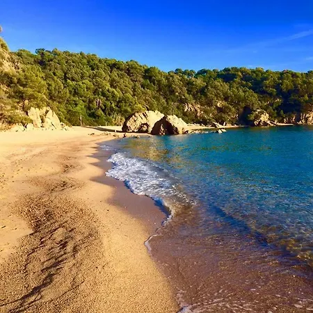 Private Apartments Cala Canyelles-2
