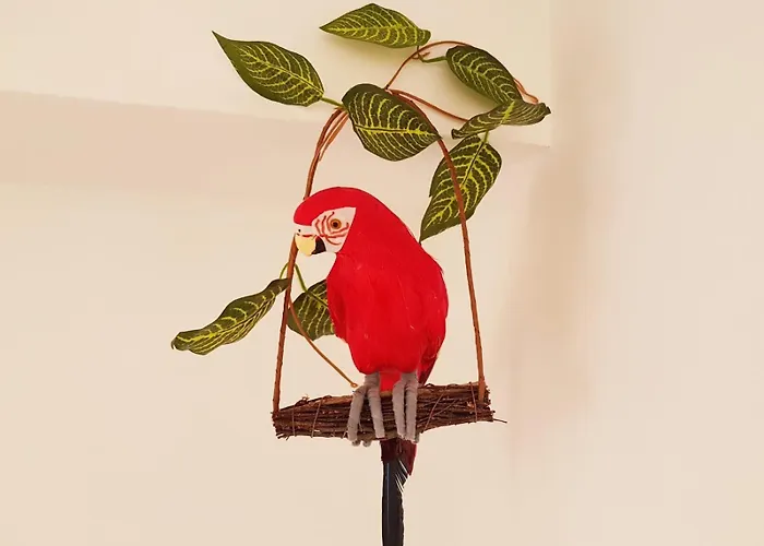 Appartement Parrot'S House à Lloret de Mar